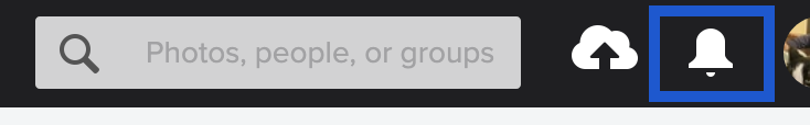 bell_icon.png