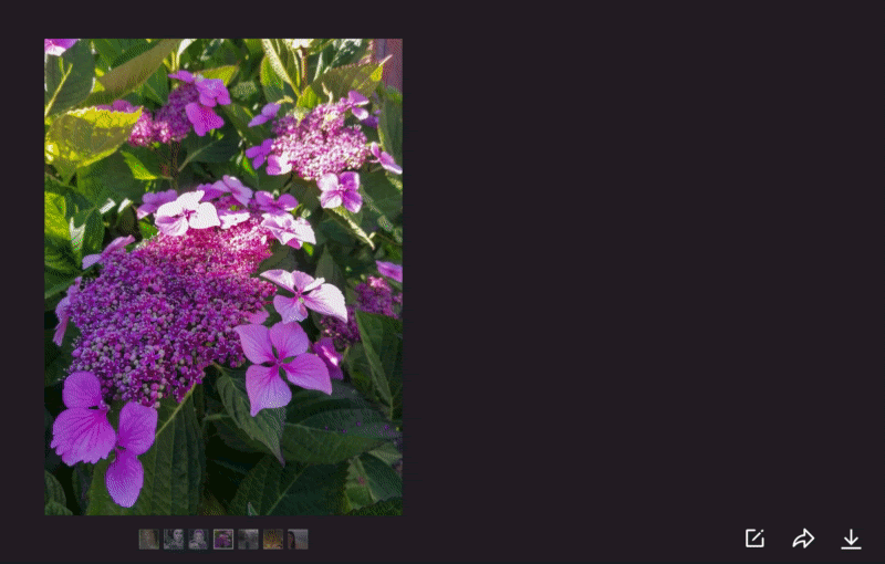 Screen_Recording_2020-08-27_at_10.57_AM.gif